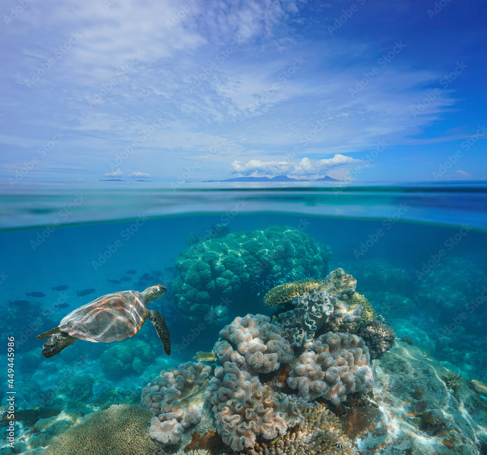 Tropical seascape, coral reef underwater and islands at the horizon, split view over under water surface, south Pacific ocean, Oceania