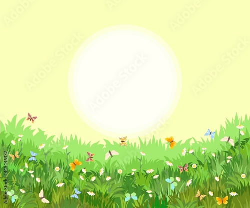 Meadow with wildflowers and butterflies. Grass close-up. Beautiful green landscape. Cartoon style. Flat design. Flowers. Art illustration vector