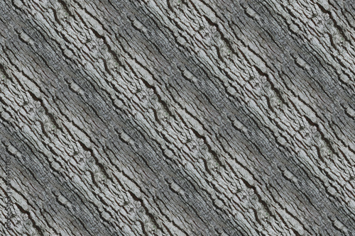 oak pattern wood texture backdrop