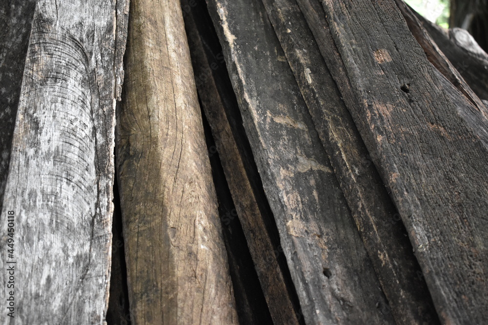 Fototapeta premium old wood texture