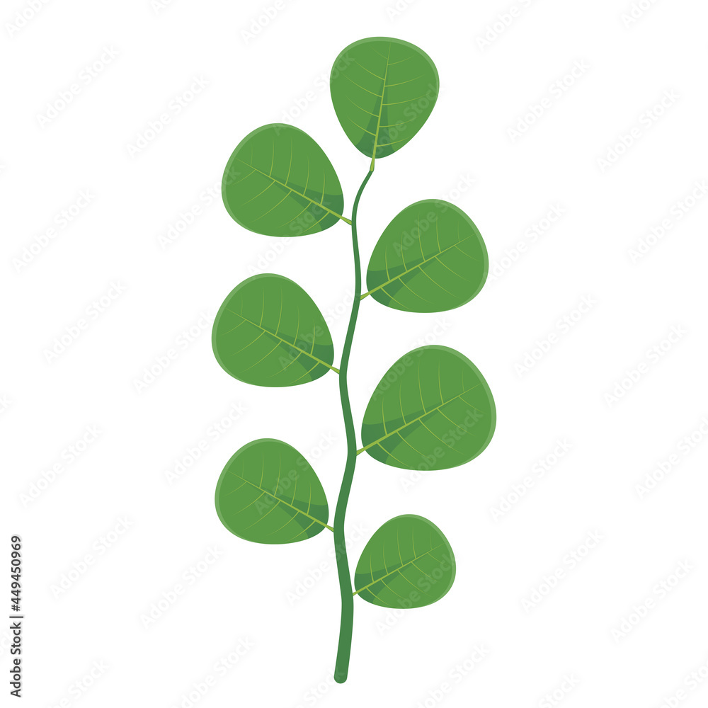green leaf stalk vector on white background