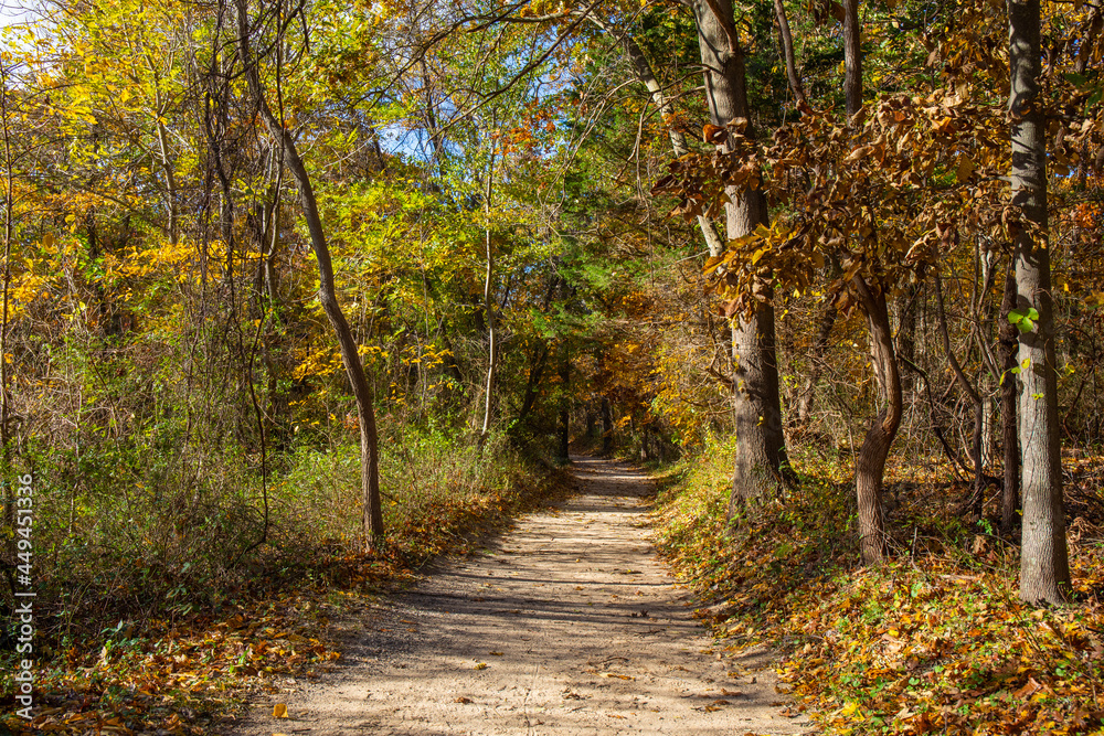 A walking trail in the woods surrounded by autumn foliage at Sunken Meadow State Park in New York. A walking trail in the woods surrounded by autumn foliage at Sunken Meadow State Park in New York.