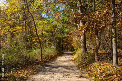 A walking trail in the woods surrounded by autumn foliage at Sunken Meadow State Park in New York.
