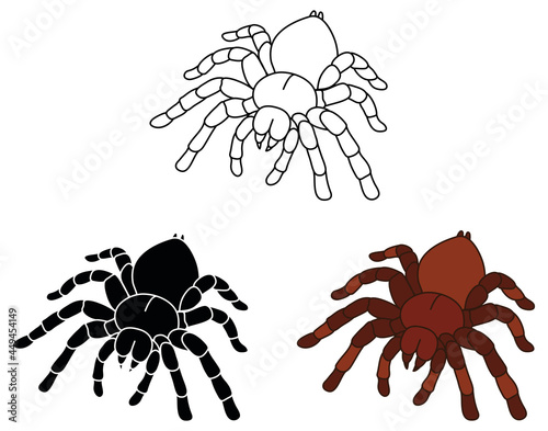 Tarantula Spider Clipart Set