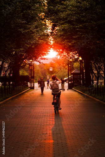 Fototapeta Naklejka Na Ścianę i Meble -  people biking in the sunset lights