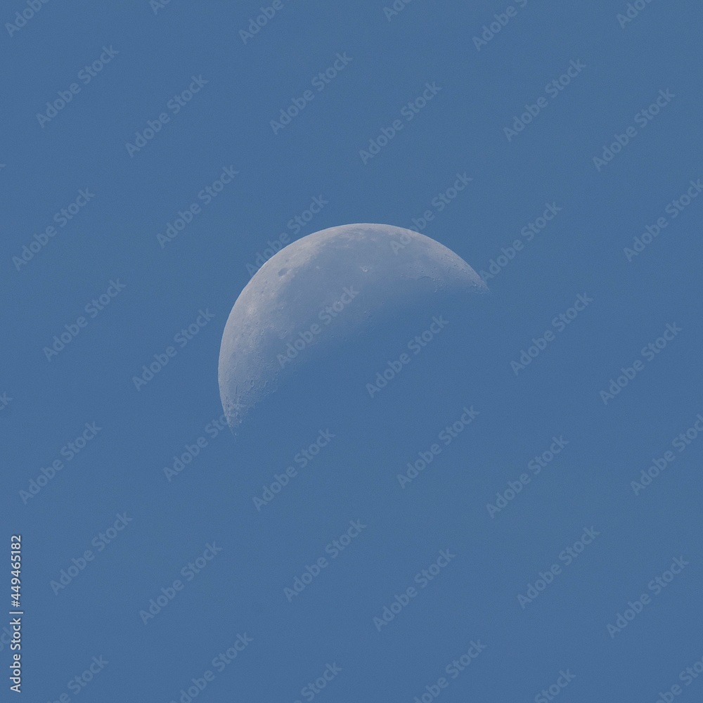 Quarter moon in the early morning blue sky Quarter moon in the early morning blue sky