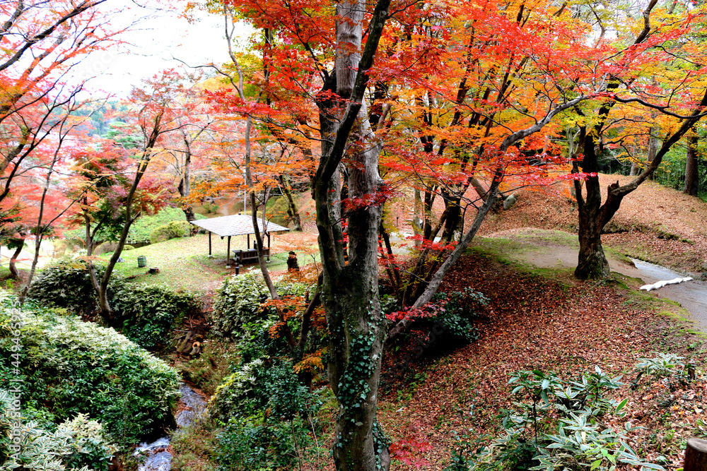 秋の霞ヶ城公園（福島県・二本松市） Stock Photo Adobe Stock
