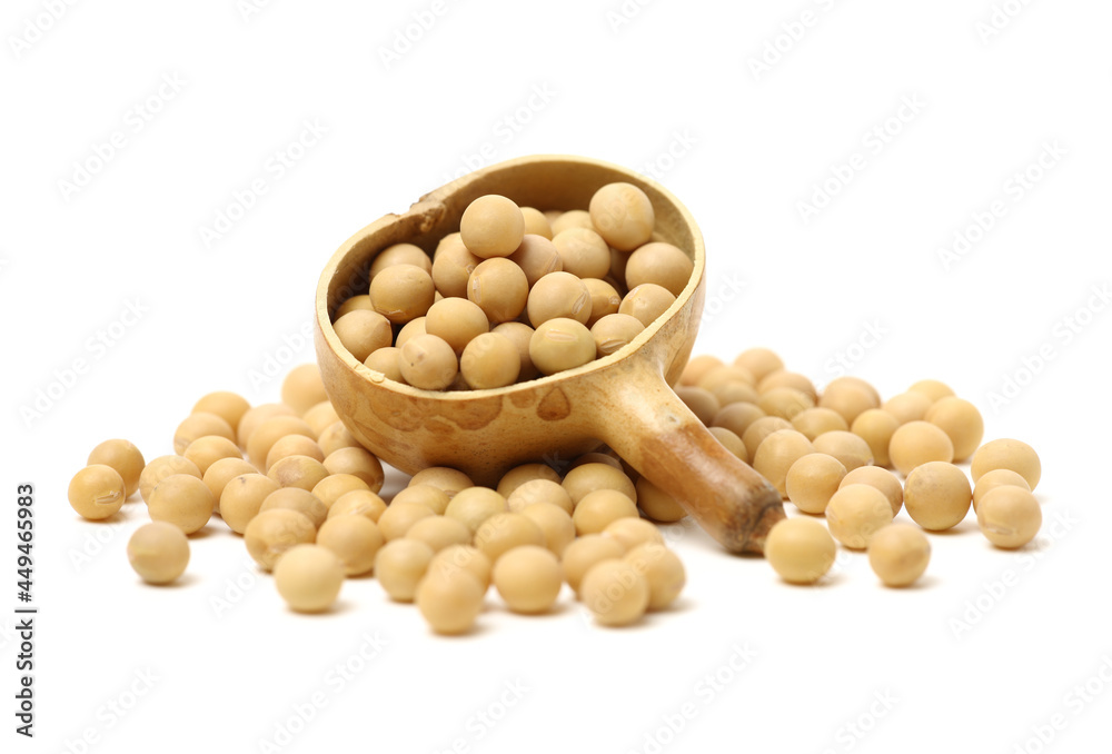 gold soybean isolated on white background gold soybean isolated on white background