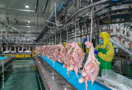 Εκτύπωση καμβά Chicken ribs after slaughter in an industrial factory.