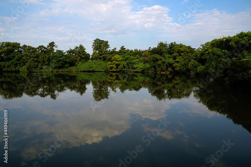 鏡のような水面に夏空が綺麗に映り込んでいる池の風景