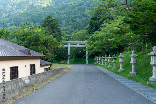 Wallpaper Mural 北海道函館市の函館山を登山する風景 A view of climbing Mount Hakodate in Hakodate, Hokkaido.  Torontodigital.ca