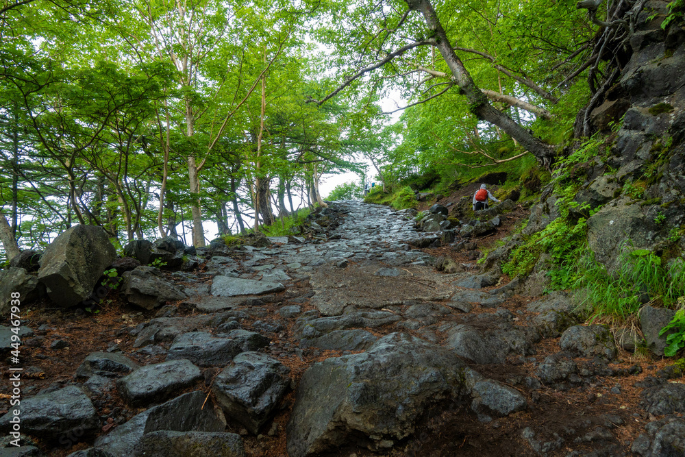 山梨県、静岡県にある富士山を登山する風景 A view of climbing Mt. Fuji in Yamanashi and Shizuoka Prefectures. 山梨県、静岡県にある富士山を登山する風景 A view of climbing Mt. Fuji in Yamanashi and Shizuoka Prefectures.