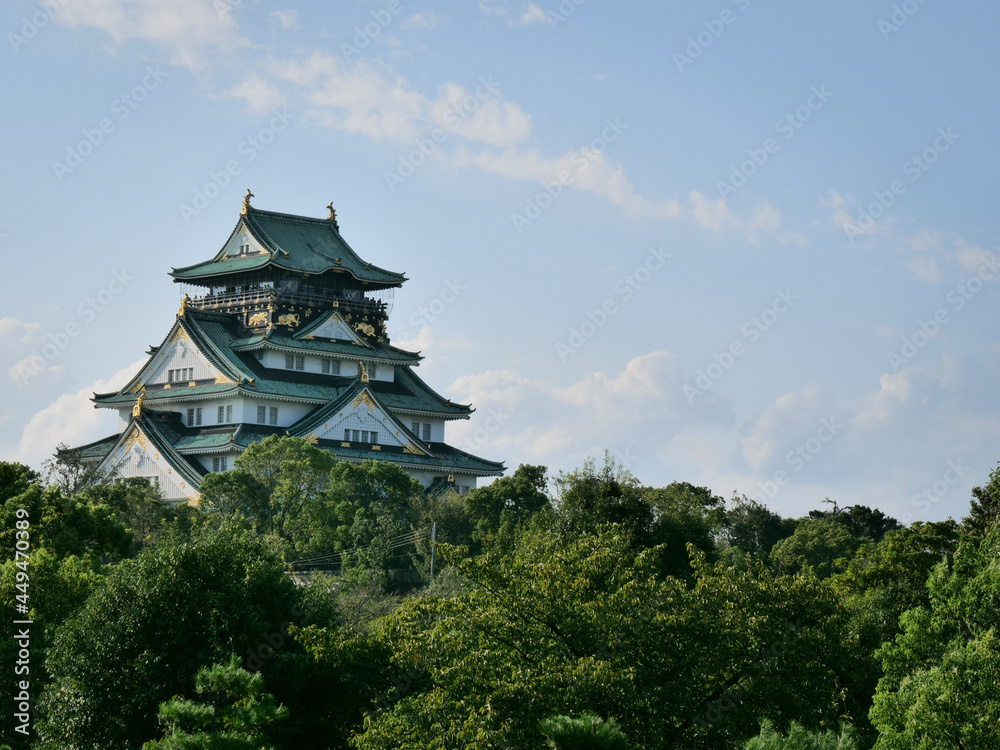 japanese castle in spring