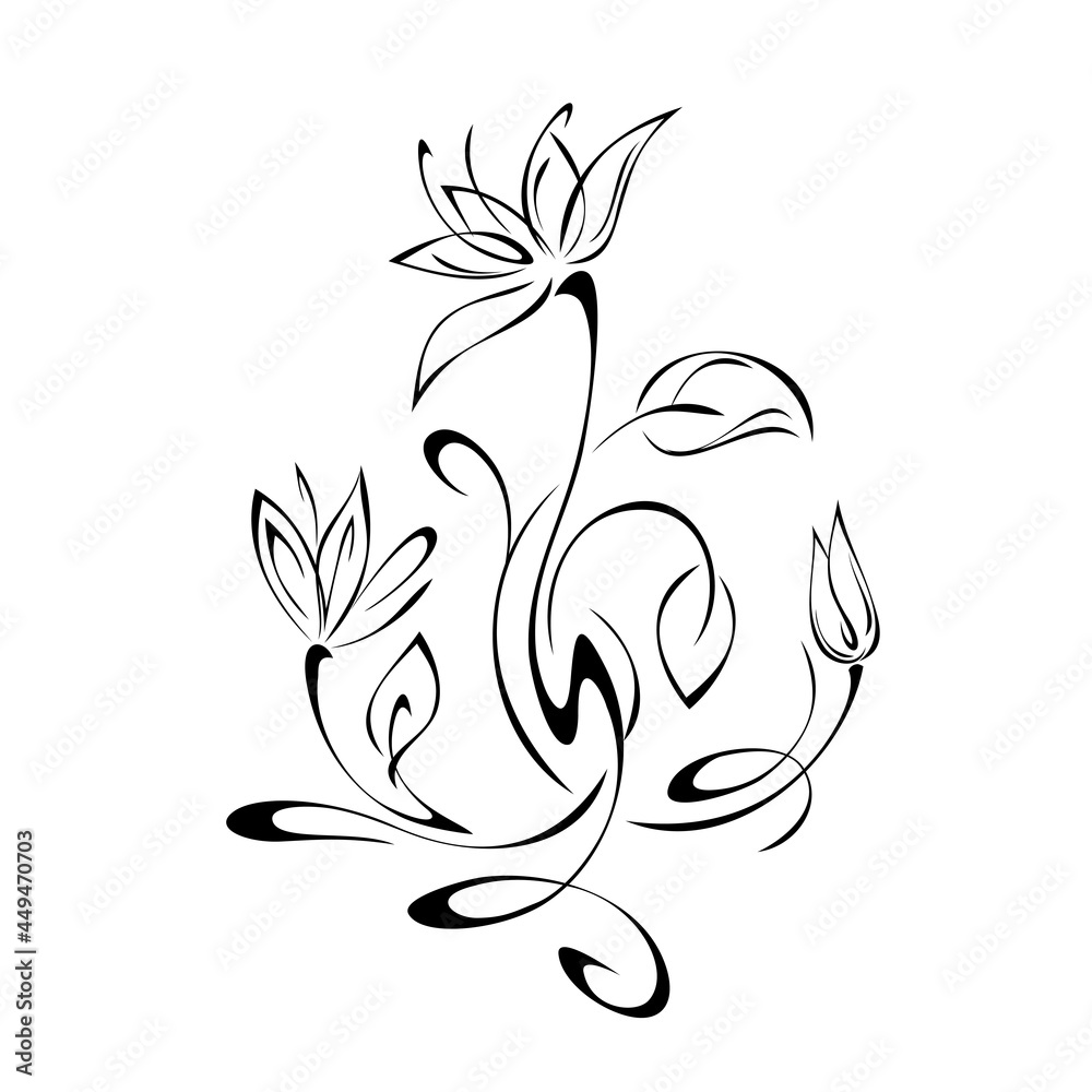 floral design with blooming flowers on stems with leaves and curls in black lines on a white background floral design with blooming flowers on stems with leaves and curls in black lines on a white background
