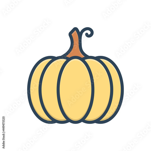 Color illustration icon for pumpkin