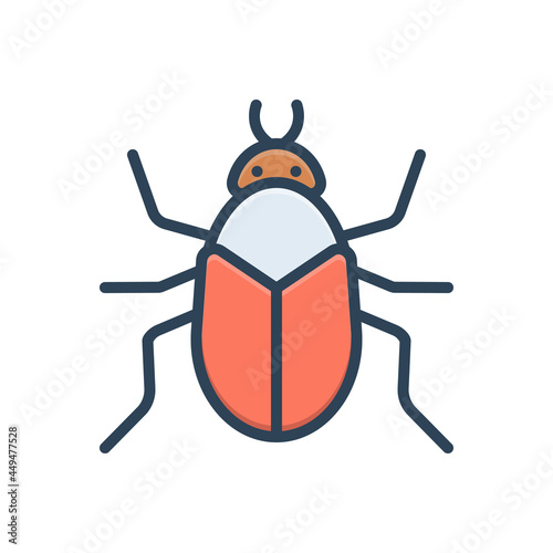 Color illustration icon for bug