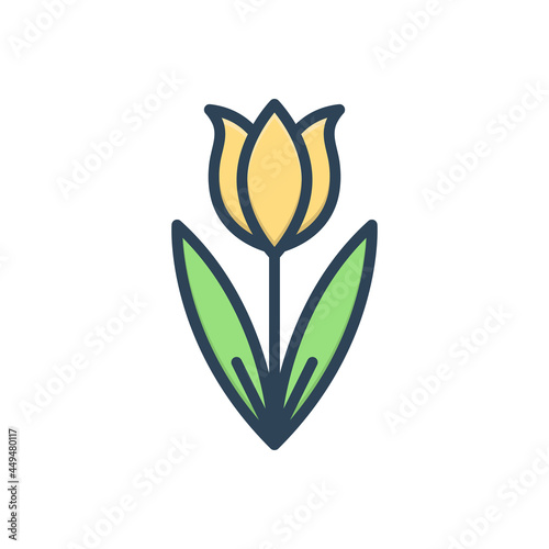 Color illustration icon for tulip