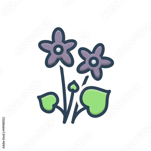 Color illustration icon for violet flowers