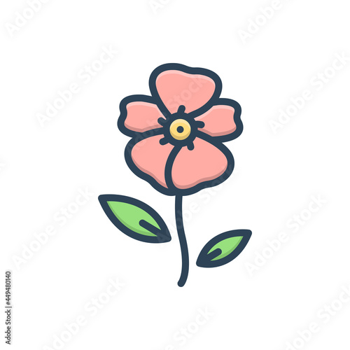 Color illustration icon for balsam