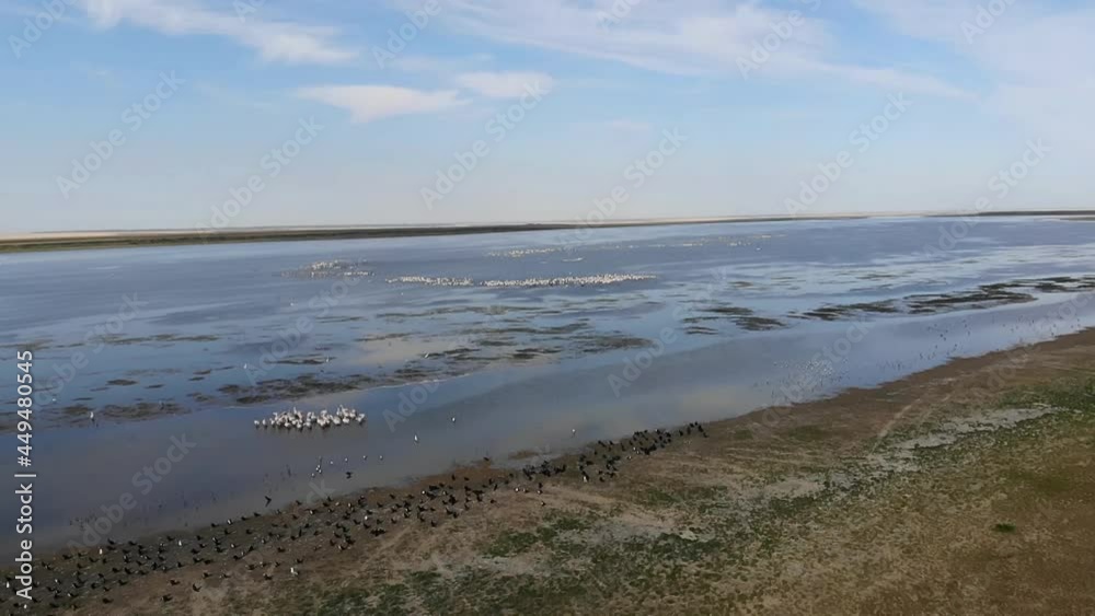 Kalmykia, nature reserve. Flocks of water birds on a lake in the steppe. Kalmykia, nature reserve. Flocks of water birds on a lake in the steppe.