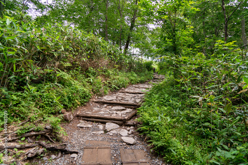                                                                                            Scenery of hiking in Ose-ga-hara in Fukushima  Niigata and Gunma prefectures.
