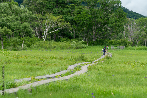 福島県、新潟県、群馬県にある尾瀬ヶ原をハイキングしている風景 Scenery of hiking in Ose-ga-hara in Fukushima, Niigata and Gunma prefectures.