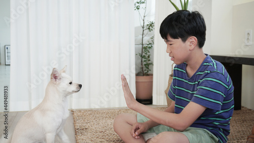 흰색 강아지와 함께 있는 남자아이 a boy with a white dog