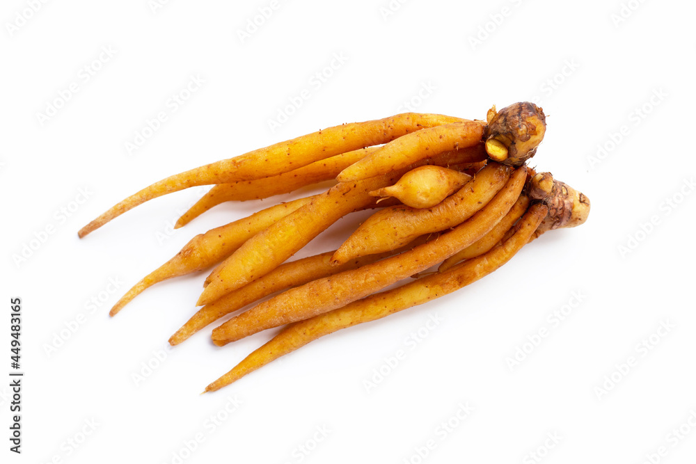 Finger root on white background. Finger root on white background.