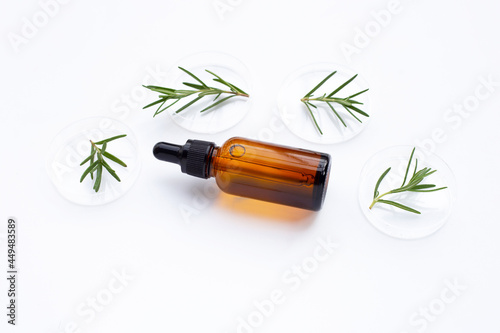 Essential oil with rosemary leaves in petri dishes on white background.