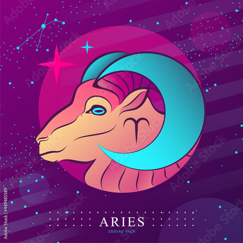 Modern magic witchcraft card with astrology Aries zodiac sign. Ram or mouflon head logo design