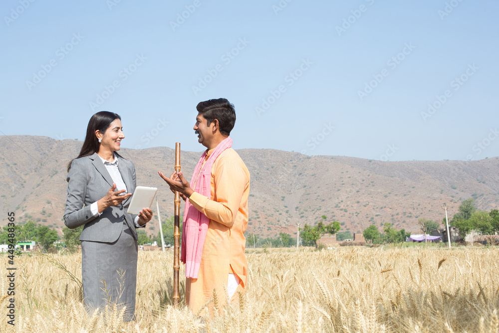Farmer with female agronomist examining ear of wheat crop in agricultural field Farmer with female agronomist examining ear of wheat crop in agricultural field
