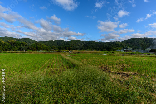 嵯峨野の田園風景