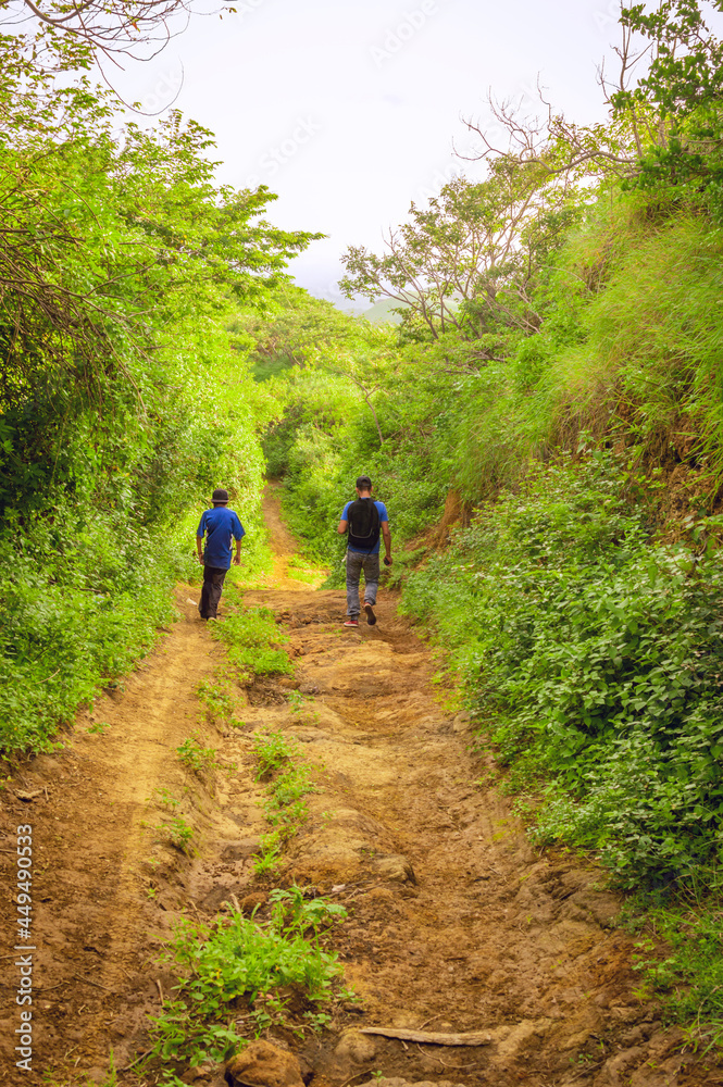 Two men on a path through the countryside, Two young men walking along a path with copy space