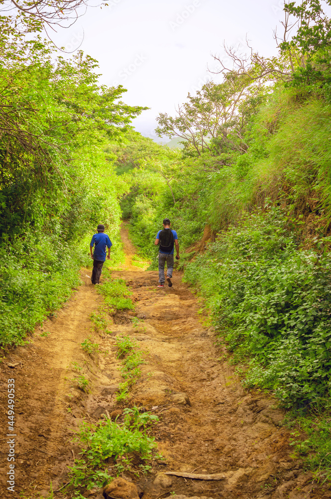 Fototapeta premium Two men on a path through the countryside, Two young men walking along a path with copy space
