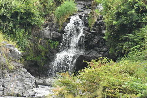 精進川の滝