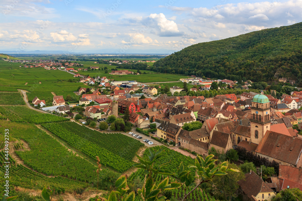 View of the Kaysersberg village bethween vineyards in Alsace during the summer