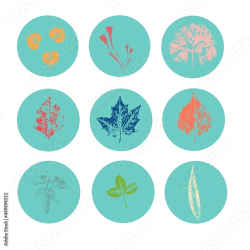 set of round blue icons with different autumn leaves for design highlights, multicolored leaf stamps