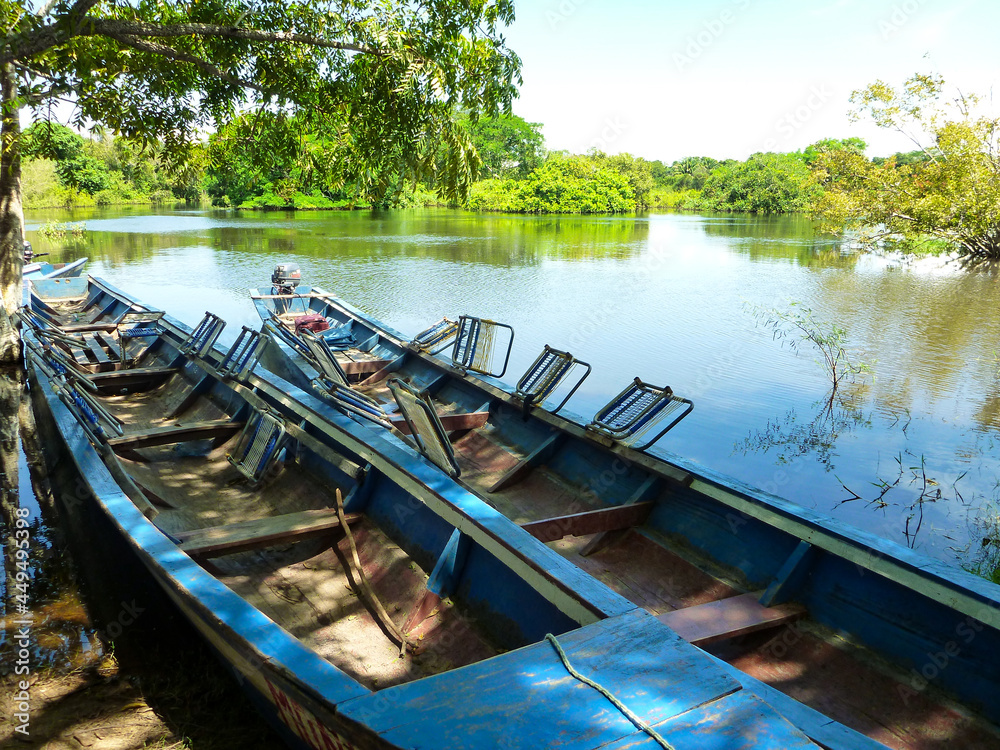 ボリビア・ルレナバケにてアマゾンジャングルツアー用のクルーズボート