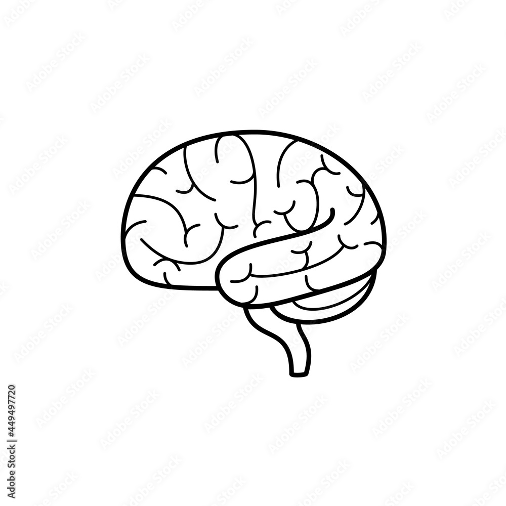 Brain images outline on a white background can be used for storytelling and education. Brain images outline on a white background can be used for storytelling and education.