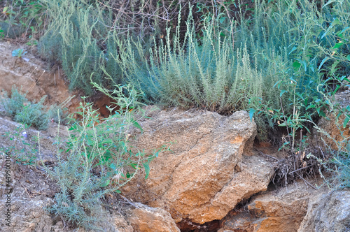 Scale rock and stone background 