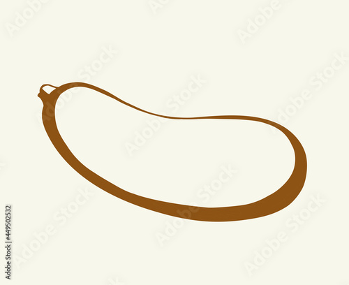 Zucchini gourd. Vector drawing icon