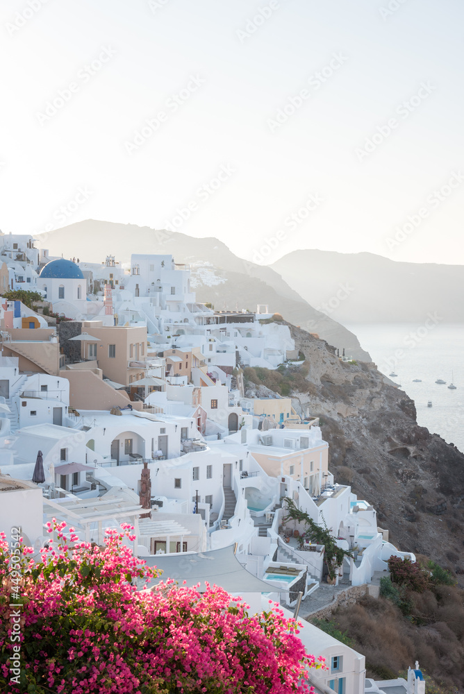 Fototapeta premium A sunrise shot of Oia village in Santorini island, Greece. Hotels and white buildings with blue dome churches in the background with bougainvillea flowers