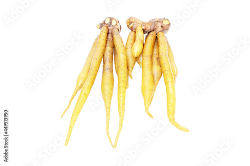  Fingerroot tea and fingerroot Chinese Ginger, Galingale, Kaempfer, Krachai . He scientific name is Boesenbergia rotunda. Finger root is herb and Thai food ingredient. Isolated on white background.