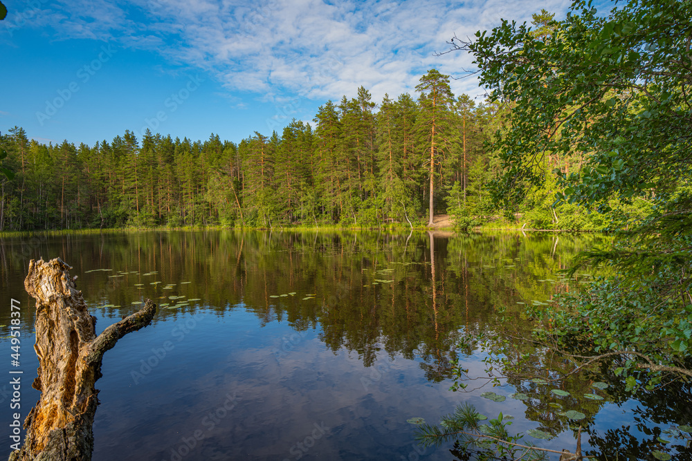 Obraz premium Beautiful landscape of the lake with the reflection