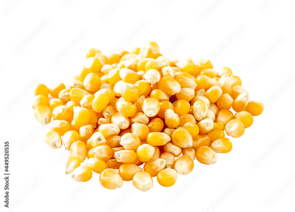 Organic yellow corn seed or maize on white background. Pile raw corn seed isolated. Organic yellow corn seed or maize on white background. Pile raw corn seed isolated.