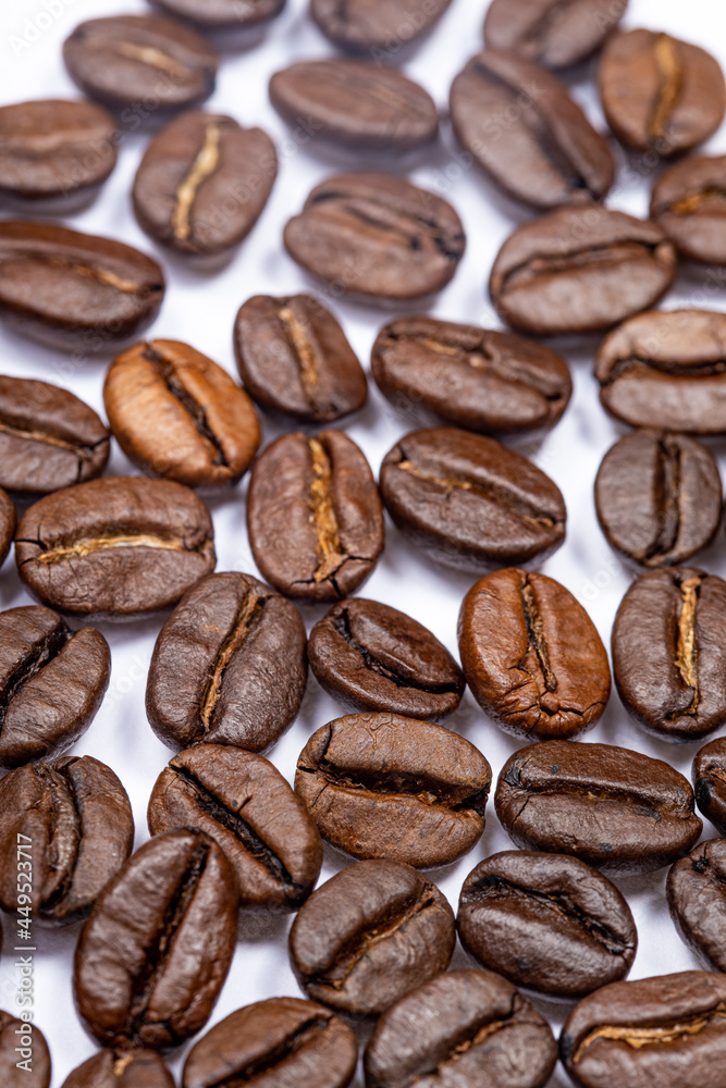 Fototapeta premium Coffee beans with uniform color