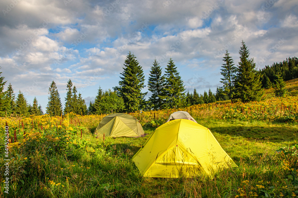 the tent camp stands on a beautiful sunny meadow in the Carpathian Gorgan. Ukraine