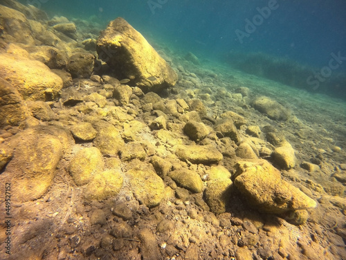  Underwater world of Mediterranean Sea. Near Marmaris  Turkey