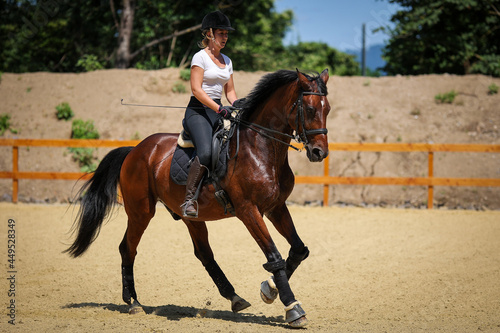 Horse with rider in training on the riding arena, recorded during the support phase while galloping..