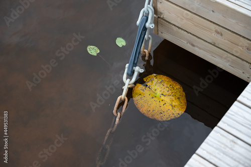 chain and leaf in water photo